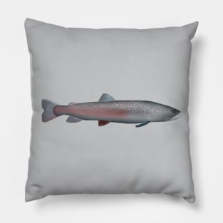 Rhône Trout Pillow