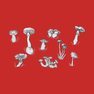 Mushrooms Pack T-Shirt