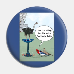 Bird bath dilemma Pin