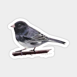 Dark Eyed Junco (perched) bird painting Magnet