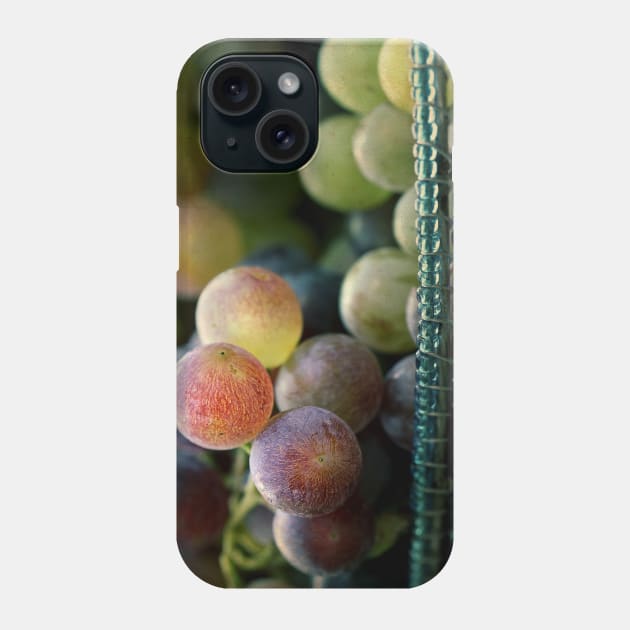The Harvest Phone Case by micklyn