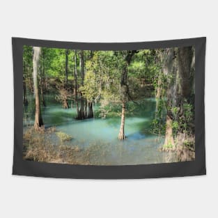 Radium Spring Tapestry