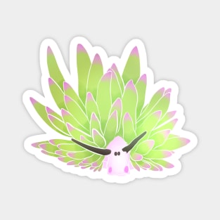 Nudibranch Magnet