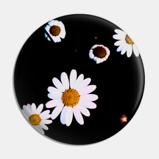 White And Yellow Flowers In Dark Theme Pin