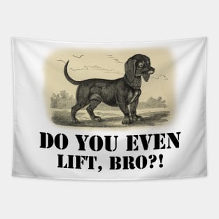 Do you even lift, bro? Tapestry