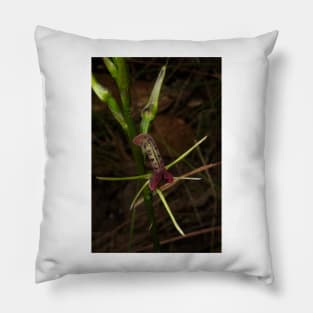 Tongue Orchid Pillow