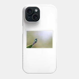 Green Violetear Hummingbird - Costa Rica Phone Case