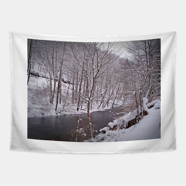 Winter River Tapestry by PaulLu