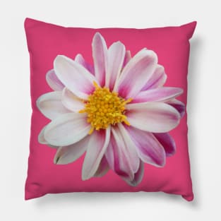 pink flower, flowers, nature, blooms, white Pillow