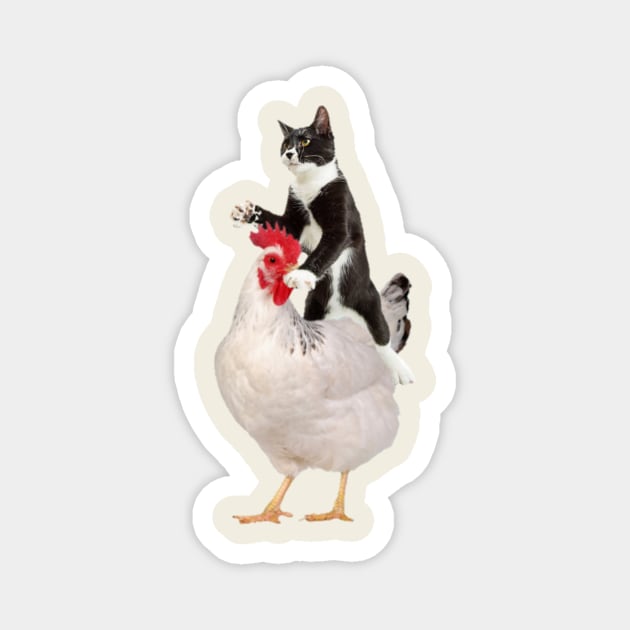 Tuxedo Cat on a Chicken Magnet by horse face