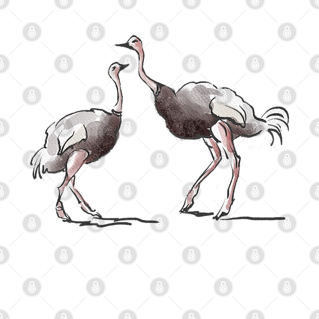 Two Ostriches - Mother and Son Facing Each Other, Ink and Watercolor Sketch by ibadishi