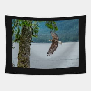 Flying Bald Eagle with a fish Tapestry