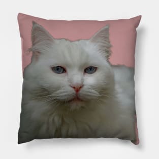 Pink pussy Pillow