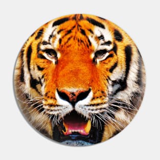 Tiger Tie Dye Pin