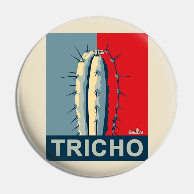 Tricho Trichocereus San Pedro Pin by Cactee