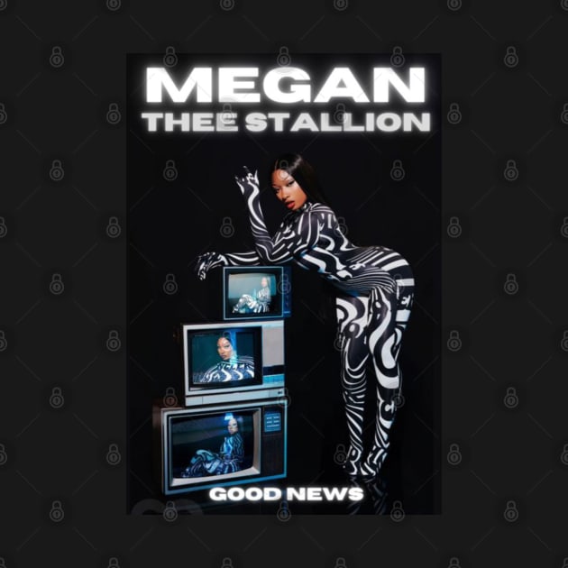 MEGAN THEE STALLION MERCH VTG by Birsencavus