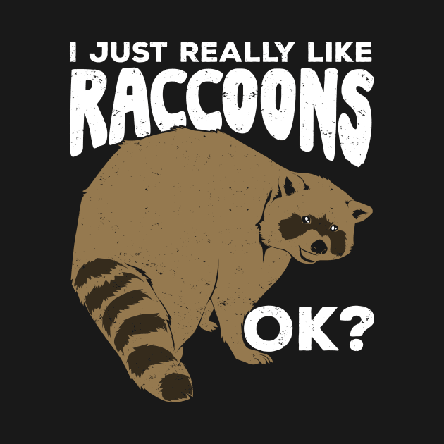 I Just Really Like Raccoons Ok by Dolde08