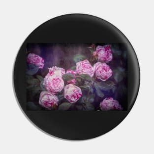 Rose 412 Pin