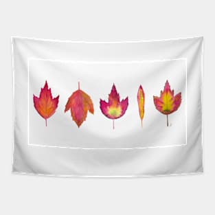 Autumn Pressed Leaves Tapestry