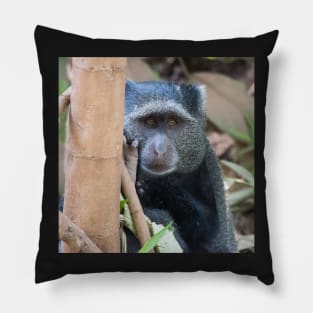 Blue Monkey Pillow