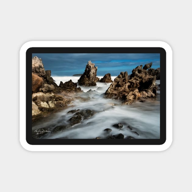 Petrel Cove Magnet by lordveritas