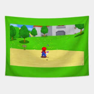 SM64 painting Tapestry