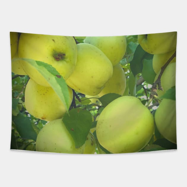 Golden Delicious Apple Harvest Tapestry by EdenLiving