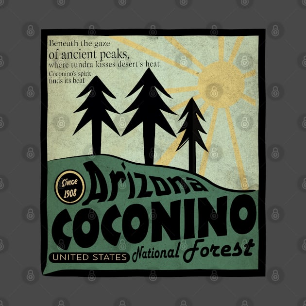 Coconino National Forest Flagstaff by Alexander Luminova