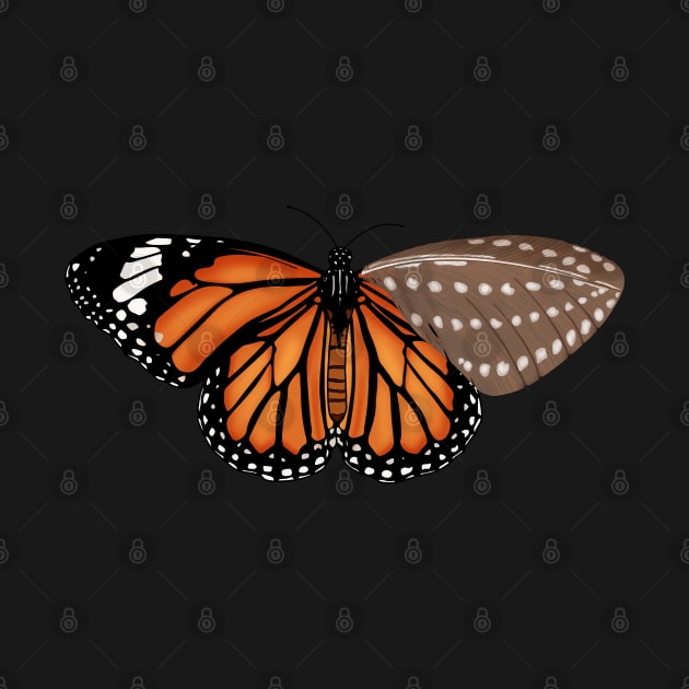 Monarch butterfly by Anahis Digital Art