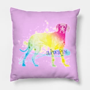 Dog Always Rainbow Pillow