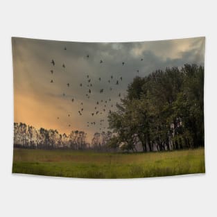 Nature sunrise with birds in flight Tapestry