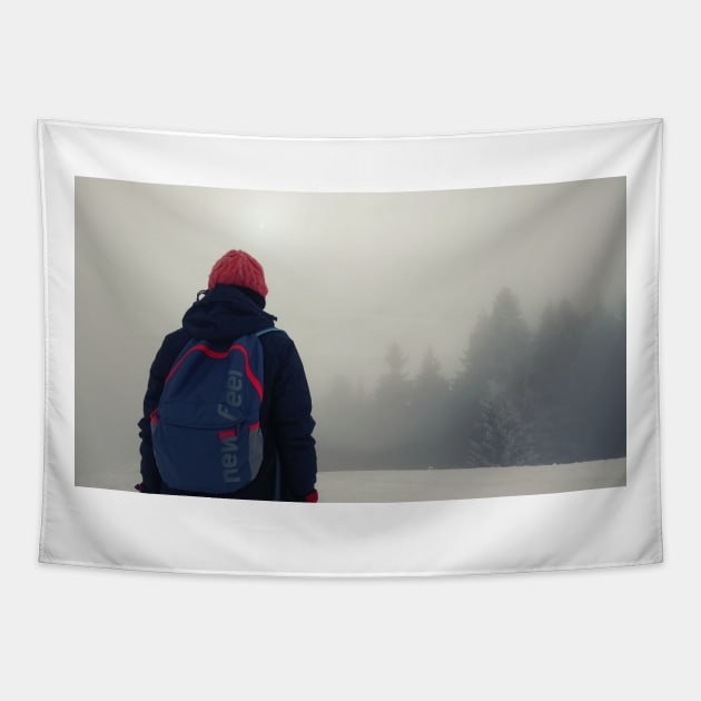 Girl in winter Tapestry by playlite