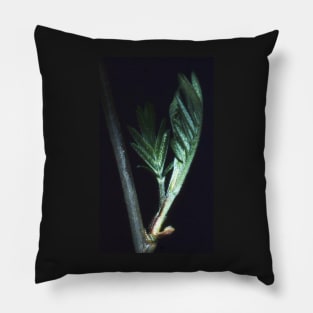 New leaf. Pillow