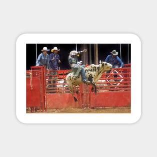 Bull rider Magnet