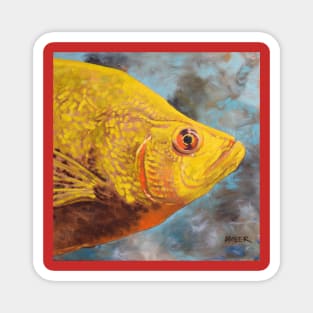 Yellow Fish Staring Magnet