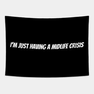 I'm just having a midlife crisis Tapestry