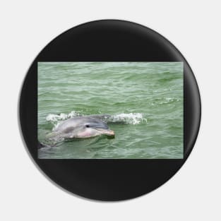 A Dolphin Hello Pin