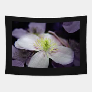 Pink Clematis flower Tapestry