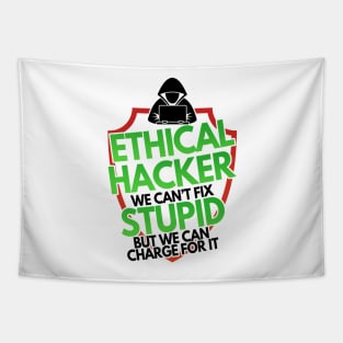 Ethical Hacker We Can't Fix Stupid But Charge For Tapestry