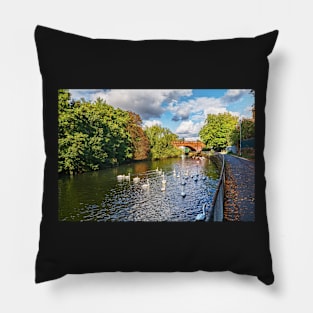 Autumn at Kennetside in Reading Pillow