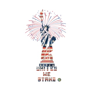 Fireworks at Liberty T-Shirt