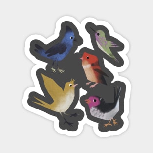 Silly Birds Magnet