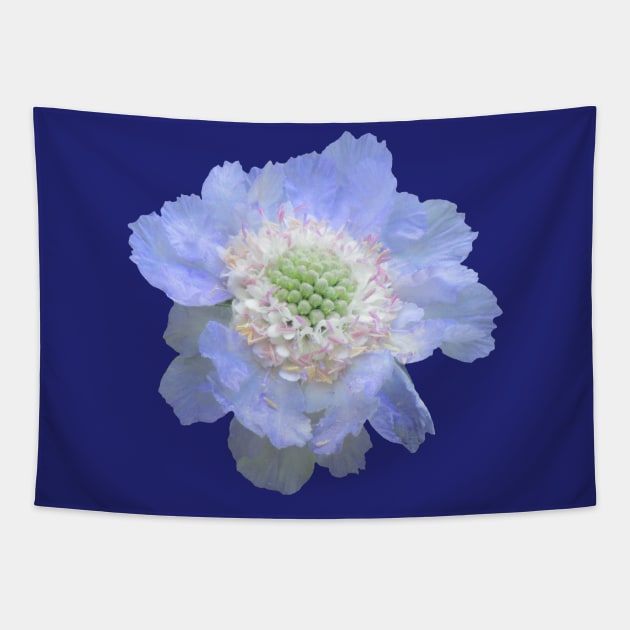 blue flower, flowers, blooms, petal, nature Tapestry by rh_naturestyles