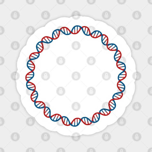 Circular DNA Double Stranded Magnet by labstud