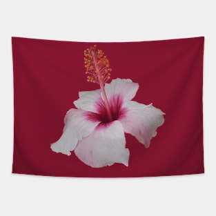 Pale Pink Hibiscus Tropical Flower Cut Out Tapestry