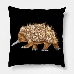 Echidna Pillow