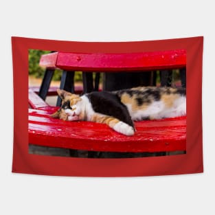 Calico cat sleeping on the red bench Tapestry