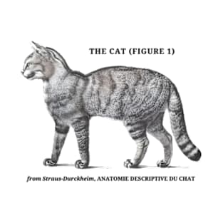 The Cat - Figure 1 T-Shirt