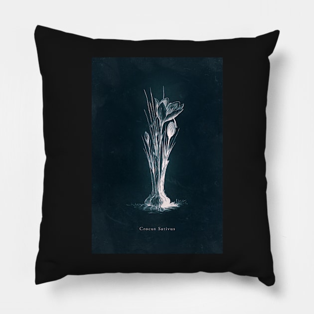 Cyanotype - Crocus Sativus Pillow by PixelHunter