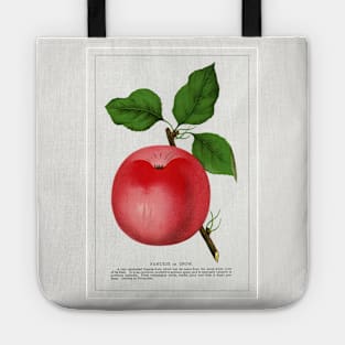 Snow Apple Lithograph (1900) Tote